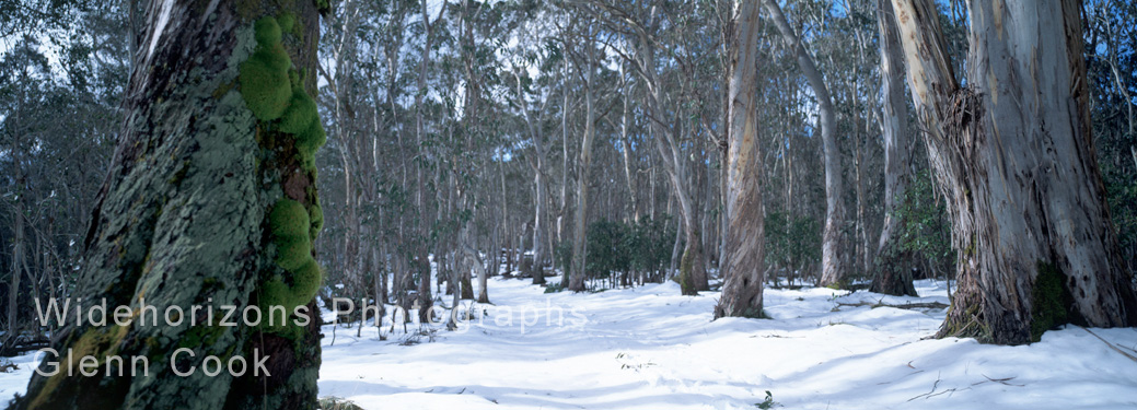 Barrington Snow B15-14151617