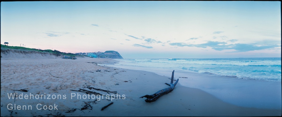 Bar Beach driftwood B10141516