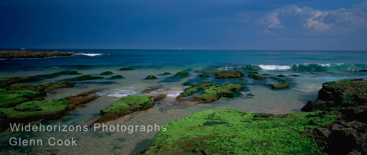 Summer Storm OE1579