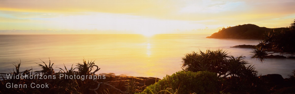 Queensland Gold OE38-78910