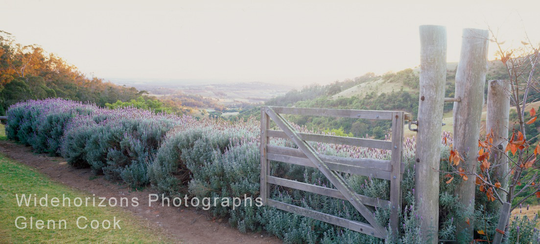 Valley View OE531718