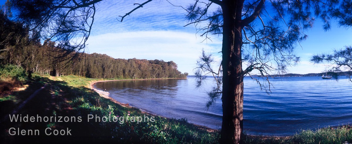 Green Point OE90917-789