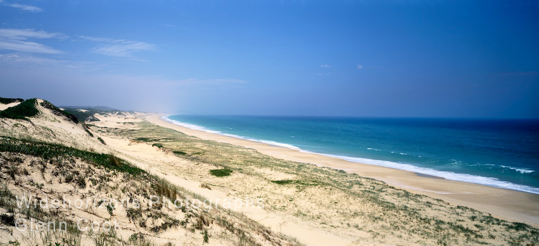 Myal National Park  OE9095-24