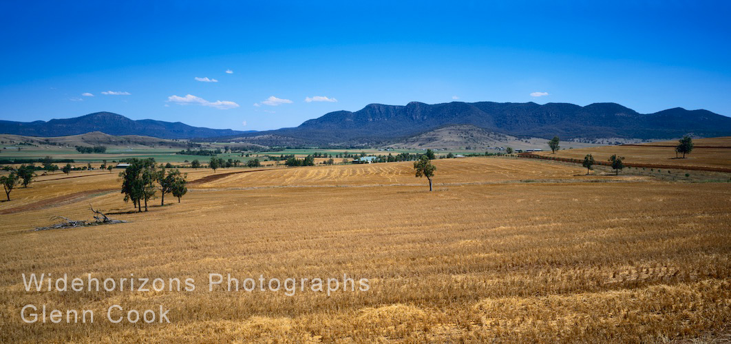 After the Harvest  OE9096-34 