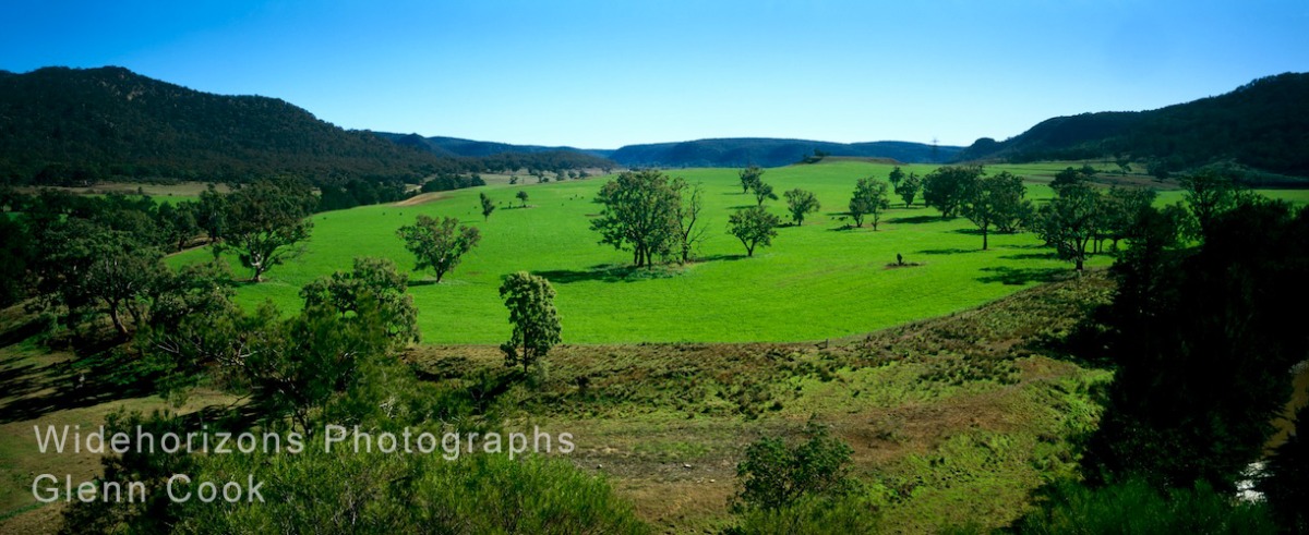 Green Pastures OE9099-1618