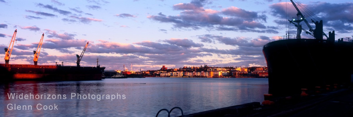 Newcastle Pano OEO809-